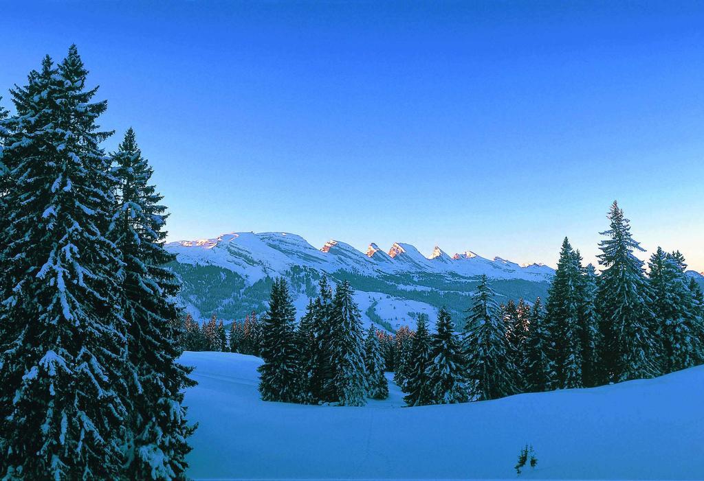 Schwendi Lodge Unterwasser Dış mekan fotoğraf