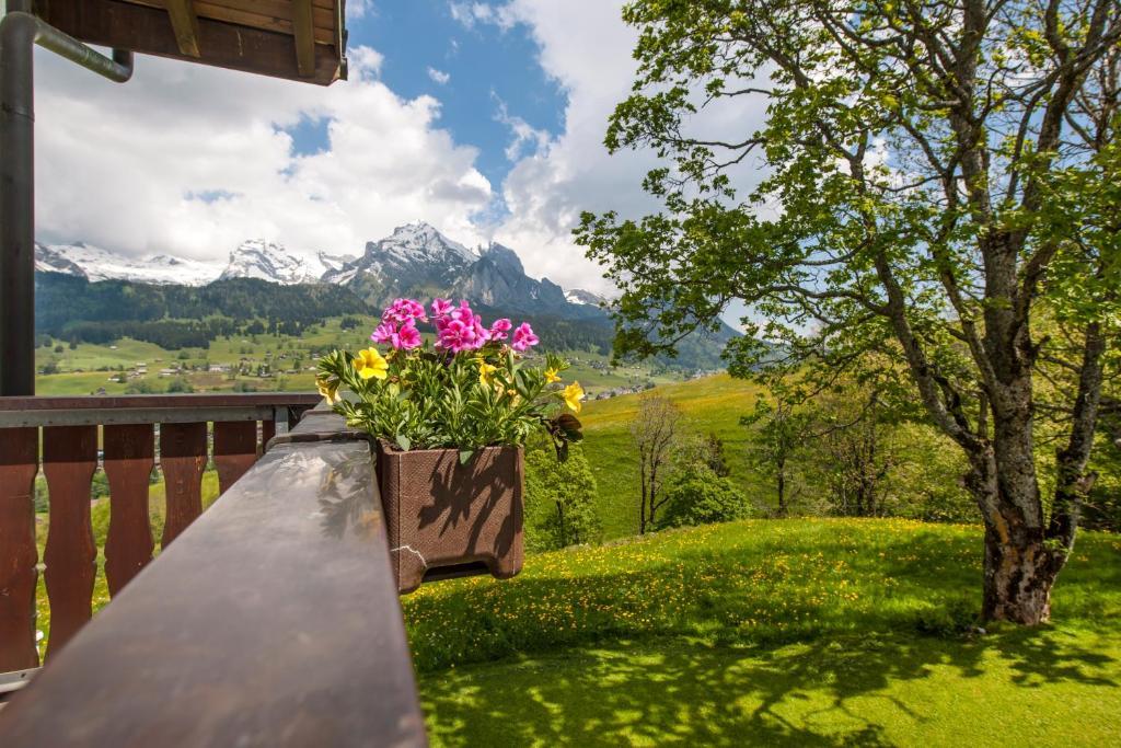Schwendi Lodge Unterwasser Oda fotoğraf